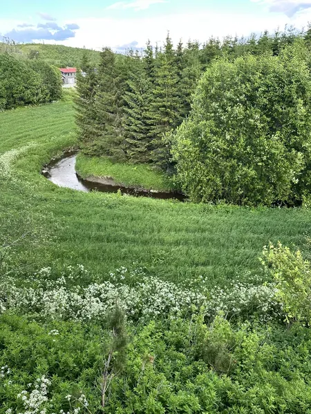 Bekk gjennom enga nær huset