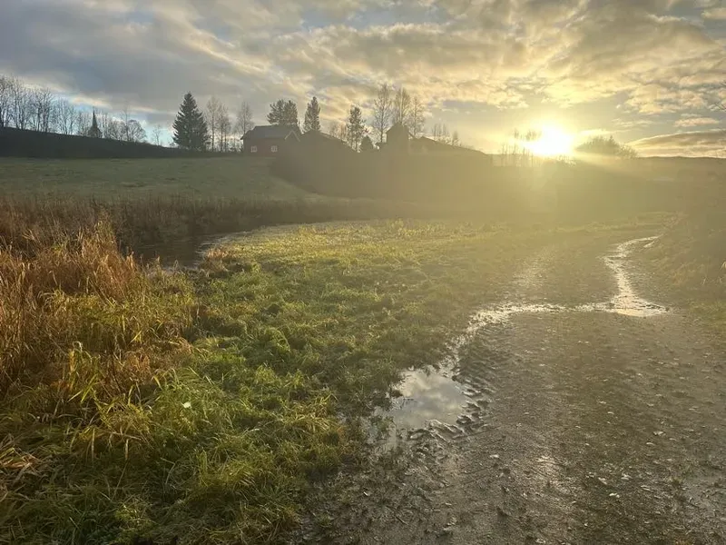 Morgenlys over jordene